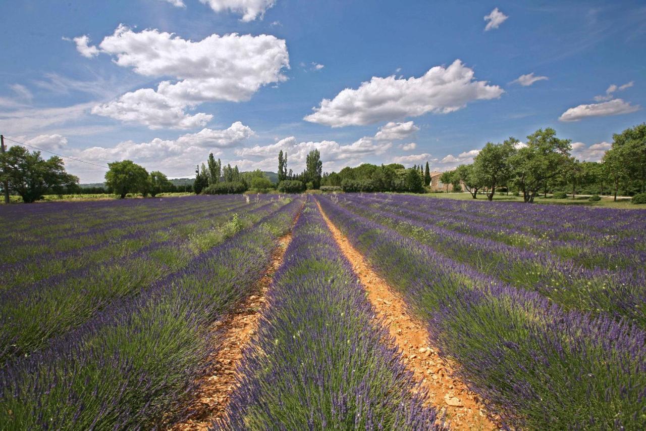 B&B Dans Mas En Pierres Robion en Luberon 外观 照片